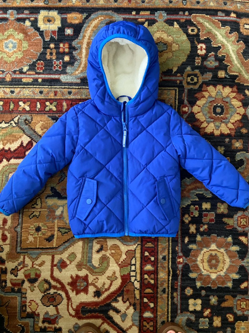 Cat & Jack Royal Blue Quilted Hooded Puffer Jacket